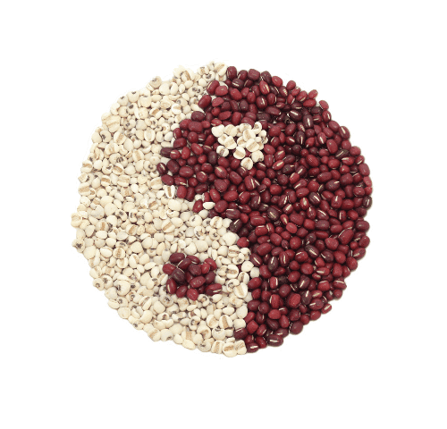 yin yang made out of beans
